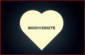 Biodiversite