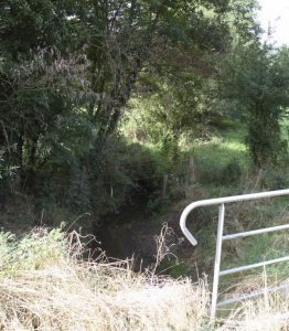 On voit bien ici que la ZNT n’est pas respectée, car les arbres au-dessus du ruisseau de Beaudebec sont touchés par le pesticide